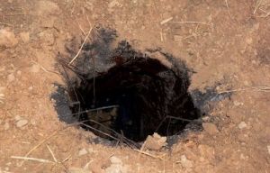 सुरंग के जरिए आतंकियों की घुसपैठ करा रहा पाकिस्तान, ड्रोन की मदद से ड्रॉप किए हथियार सुरंग के जरिए आतंकियों की घुसपैठ करा रहा पाकिस्तान, ड्रोन की मदद से ड्रॉप किए हथियार