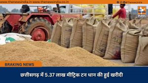  छत्तीसगढ़ में 5.37 लाख मीट्रिक टन धान की हुई खरीदी