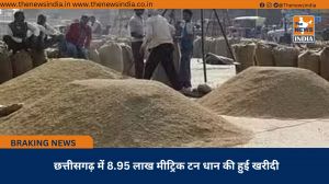  छत्तीसगढ़ में 8.95 लाख मीट्रिक टन धान की हुई खरीदी
