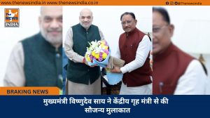 मुख्यमंत्री विष्णुदेव साय ने केंद्रीय गृह मंत्री से की  सौजन्य मुलाकात