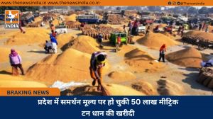 प्रदेश में समर्थन मूल्य पर हो चुकी 50 लाख मीट्रिक टन धान की खरीदी