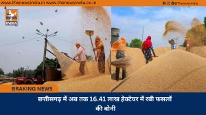 छत्तीसगढ़ में अब तक 16.41 लाख हेक्टेयर में रबी फसलों की बोनी