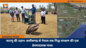जटायु की उड़ान: छत्तीसगढ़ से नेपाल तक गिद्ध संरक्षण की एक प्रेरणादायक गाथा