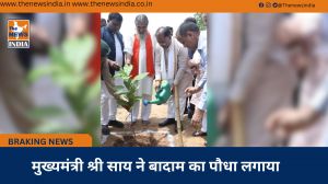  मुख्यमंत्री श्री साय ने बादाम का पौधा लगाया