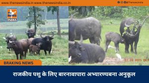 राजकीय पशु के लिए बारनावापारा अभ्यारण्यबना अनुकूल