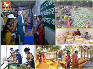  विशेष लेख : न्याय के चार साल: छत्तीसगढ़ में महिलाओं की आर्थिक आजादी का नया युग