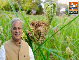 विशेष लेख : देश का इकलौता राज्य छत्तीसगढ़ जहां समर्थन मूल्य  पर खरीदा जा रहा मिलेट्स