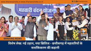 विशेष लेख: नई उड़ान, नया क्षितिज - छत्तीसगढ़ में महतारियों के सशक्तिकरण की कहानी