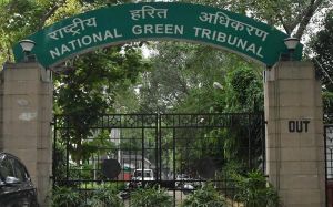  गैस लीक मामला : NGT ने एलजी पॉलिमर्स इंडिया पर 50 करोड़ रुपये का अंतरिम जुर्माना लगाया