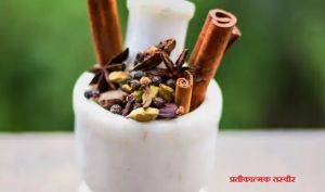  राजस्थान में शुरू हुआ कोरोना की आयुर्वेदिक दवा का क्लिनिकल ट्रायल