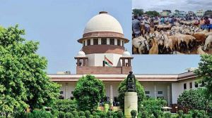  बकरीद : केरल सरकार को सुप्रीम कोर्ट  की फटकार, कहा- अगर संक्रमण फैला तो कार्रवाई होगी