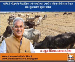 कृषि में गोमूत्र के वैज्ञानिक एवं व्यवस्थित उपयोग की कार्ययोजना तैयार करें- मुख्यमंत्री भूपेश बघेल