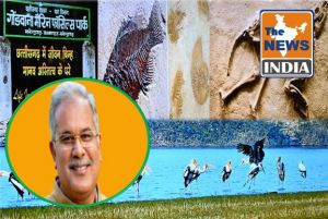 छत्तीसगढ़ की जैव विविधता छत्तीसगढ़ का गौरव है : मुख्यमंत्री भूपेश बघेल