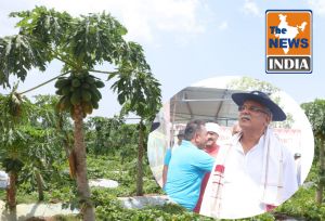 बस्तर की महिलाओं के चट्टानी इरादों से पथरीली जमीन में फूटे पपीते के अंकुर...