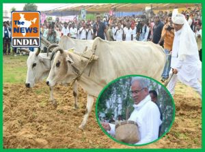 किसानी के रंग में प्रदेश के मुखिया भूपेश बघेल... हल चलाकर धान की  बुआई  की