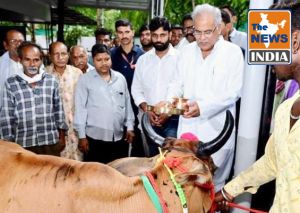 गौपालकों को मुख्यमंत्री बघेल ने दी बड़ी सौगात...हरेली तिहार से शुरू होगी गौठानों में गौ-मूत्र की खरीदी