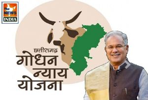  मुख्यमंत्री 6 अक्टूबर को गोधन न्याय योजना के हितग्राहियों को 8 करोड़ 13 लाख रूपए का करेंगे भुगतान