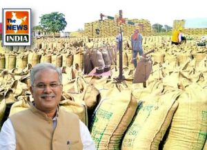  चार दिनों में राज्य में हो चुकी 69,783 मीट्रिक टन धान की खरीदी