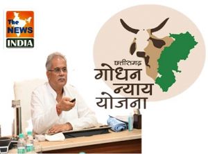  मुख्यमंत्री 19 दिसम्बर को गोधन न्याय योजना के हितग्राहियों को 5 करोड़ 99 लाख रूपए का करेंगे भुगतान