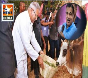 छत्तीसगढ़ सरकार की इस योजना का नितिन गडकरी भी हुआ मुरीद, मुख्यमंत्री भूपेश बघेल की तारीफ़ में पढ़े कसीदे...