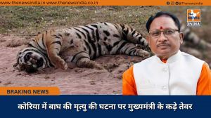 कोरिया में बाघ की मृत्यु की घटना पर मुख्यमंत्री के कड़े तेवर 