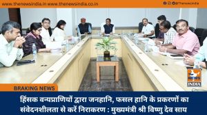  हिंसक वन्यप्राणियों द्वारा जनहानि, फसल हानि के प्रकरणों का संवेदनशीलता से करें निराकरण : मुख्यमंत्री श्री विष्णु देव साय