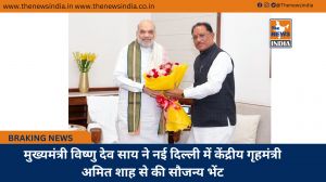 मुख्यमंत्री विष्णु देव साय ने नई दिल्ली में केंद्रीय गृहमंत्री अमित शाह से की सौजन्य भेंट