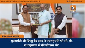  मुख्यमंत्री श्री विष्णु देव साय ने उपराष्ट्रपति श्री सी. पी. राधाकृष्णन से की सौजन्य भेंट